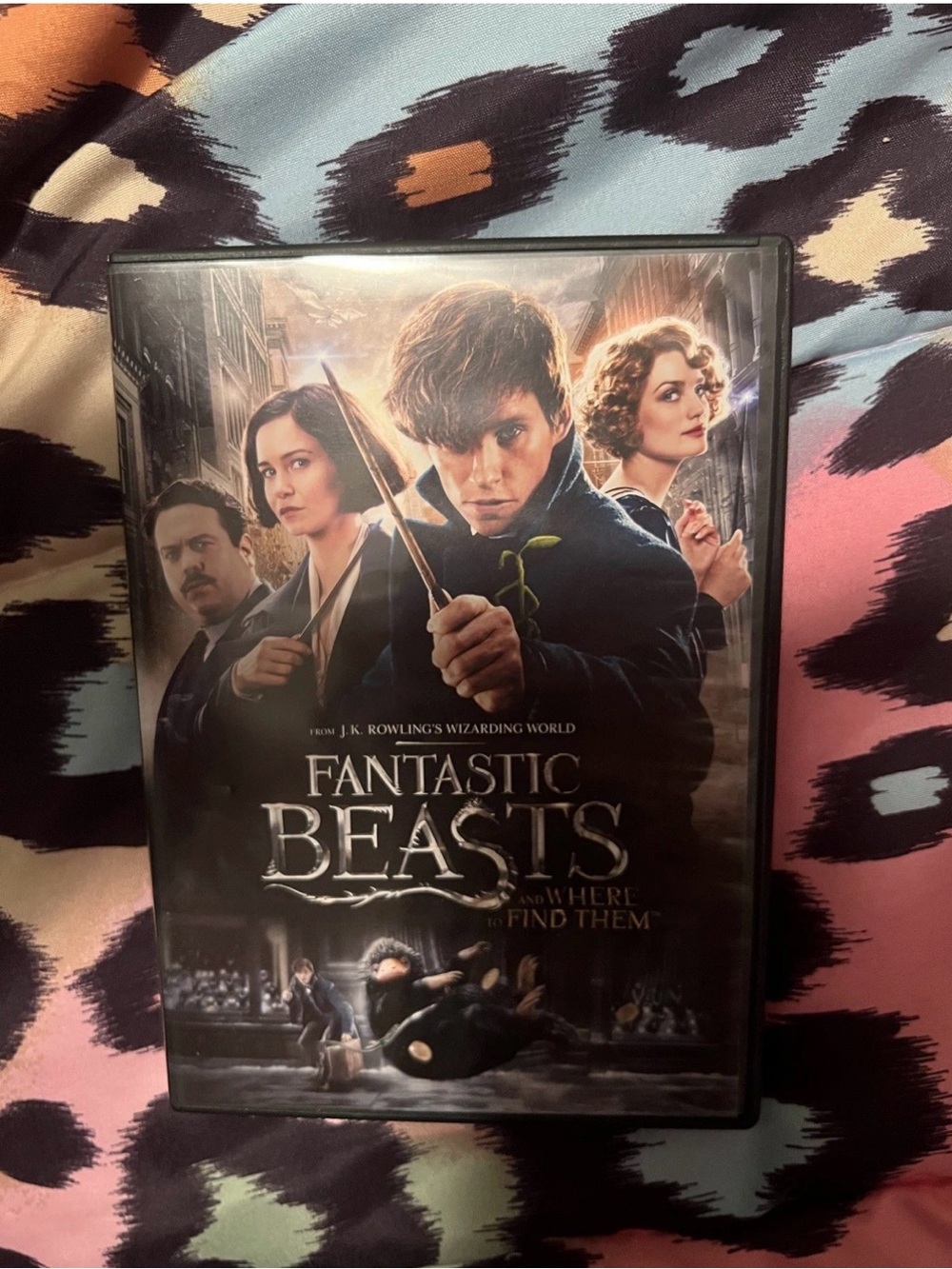 Fantastic Beasts and Where to Find Them (Black DVD)